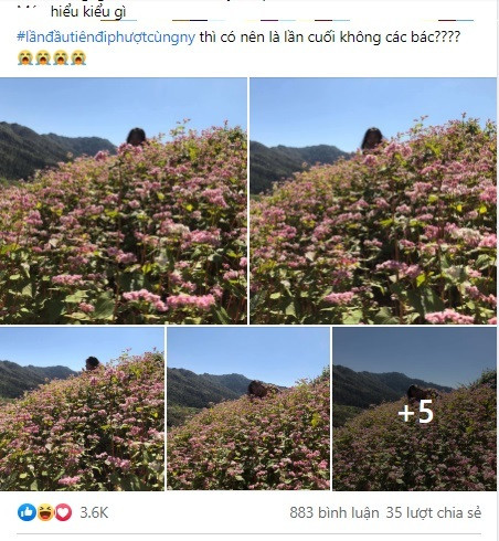 Mới đây, một cô gái đã đăng tải lên mạng xã hội màn "bóc phốt" người yêu sau khi nhờ bạn trai chụp ảnh cho cô các bức ảnh thấy mỗi cái đầu nhô lên trên đám hoa tam giác mạch.