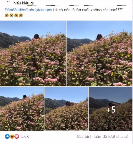 Mới đây, một cô gái đã đăng tải lên mạng xã hội màn "bóc phốt" người yêu sau khi nhờ bạn trai chụp ảnh cho cô các bức ảnh thấy mỗi cái đầu nhô lên trên đám hoa tam giác mạch.