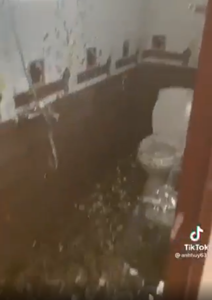 Các ý kiến cho rằng, cô dâu hôm đầu về nhà chồng đã mệt rồi, đám bạn còn bày trò kém văn minh.