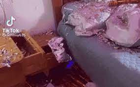 Mới đây, mạng xã hội không khỏi xôn xao bàn tán trước một video ghi lại cảnh phòng tân hôn của cô dâu chú rể bị nhóm bạn quậy "lanh tanh bành" bằng pháo giấy.