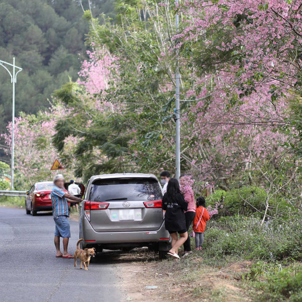 Đây là đồ mà du khách sau khi dùng xong đã tiện tay để lại luôn ở hiện trường mặc dù xung quanh có rất nhiều thùng rác.