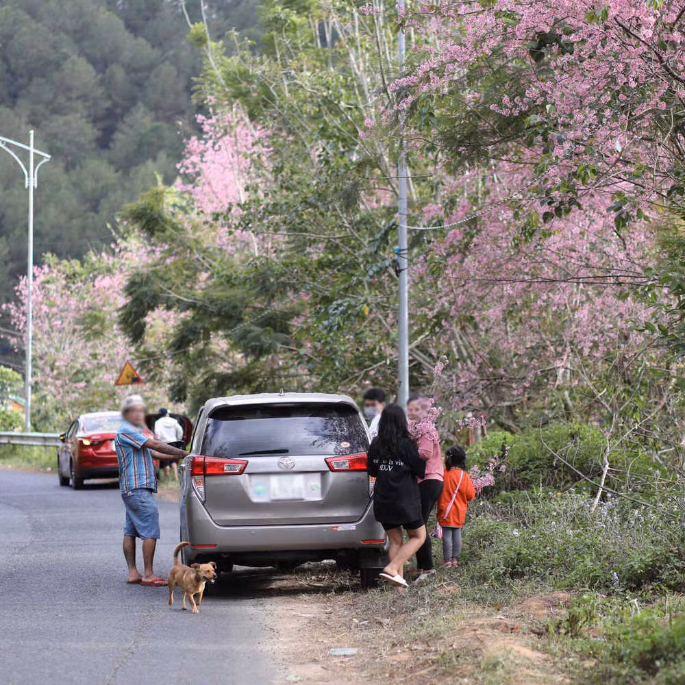 Đây là đồ mà du khách sau khi dùng xong đã tiện tay để lại luôn ở hiện trường mặc dù xung quanh có rất nhiều thùng rác.