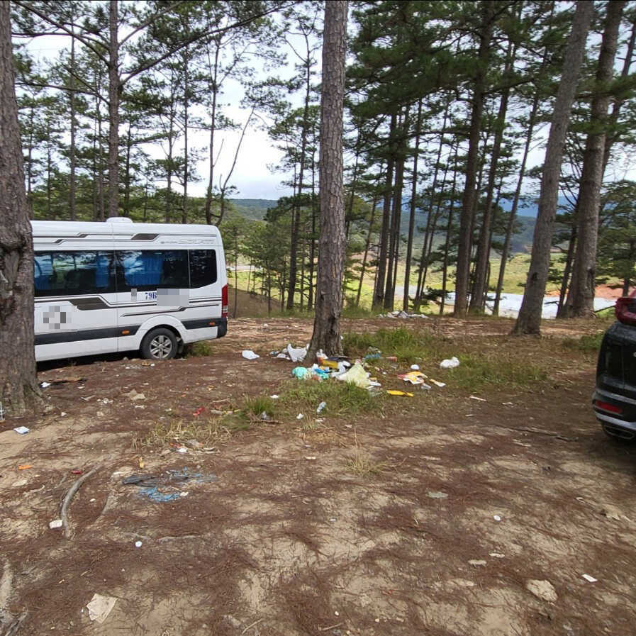 Cụ thể, có những hành khách sau khi chụp ảnh với hoa mai anh đào đã bẻ không ít nhành mang về chưng để làm kỉ niệm. Những bức ảnh này dù chỉ đăng tải thời gian ngắn nhưng đã nhanh chóng thu hút sự chú ý của đông đảo cư dân mạng.