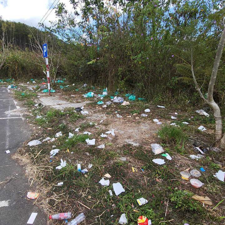 Song song với việc du lịch phát triển là tình trạng ngắt hoa bẻ cành, rác thải vứt khắp nơi vẫn diễn ra nhiều năm nay khiến Đà Lạt trở nên tan tác.