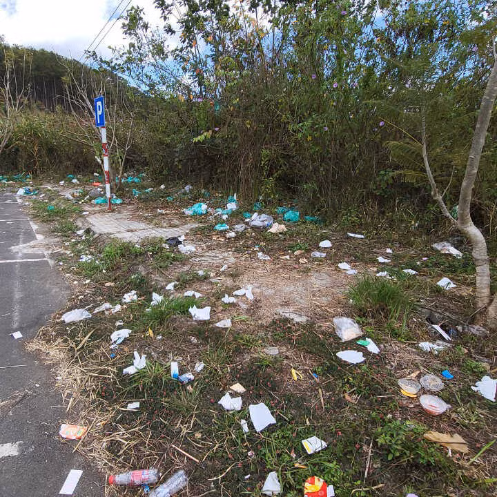 Song song với việc du lịch phát triển là tình trạng ngắt hoa bẻ cành, rác thải vứt khắp nơi vẫn diễn ra nhiều năm nay khiến Đà Lạt trở nên tan tác.