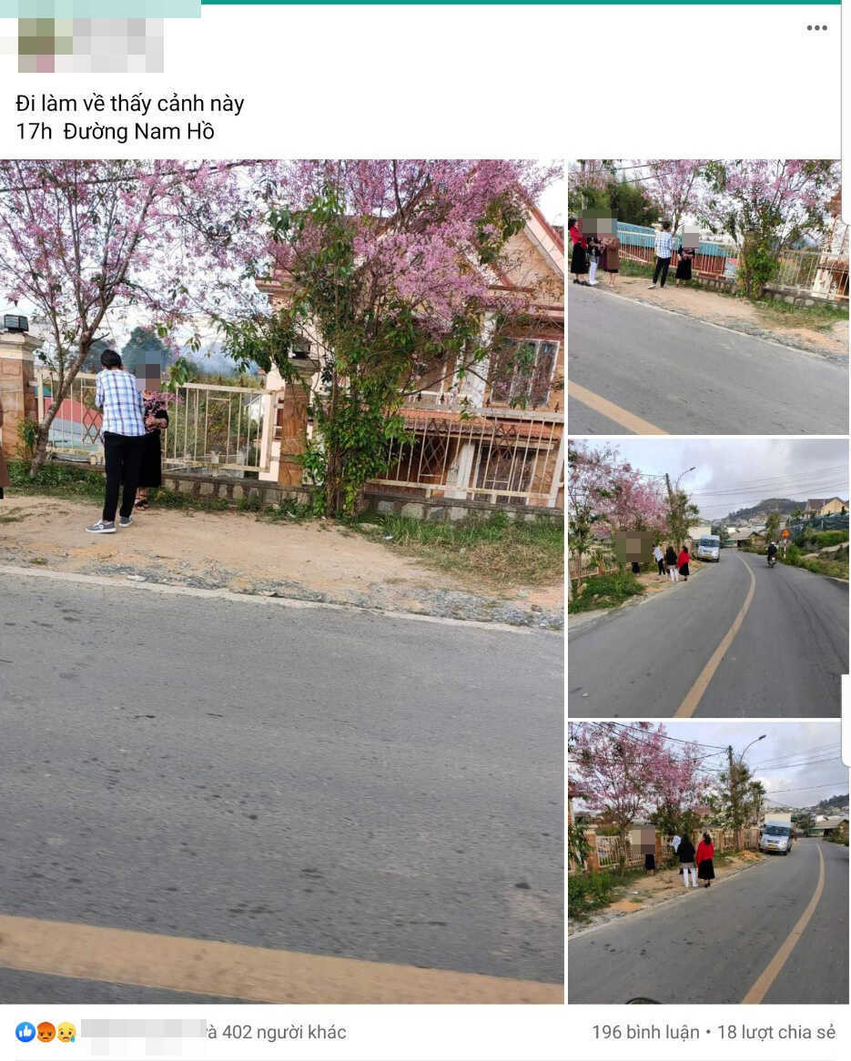 Chỉ cần đi 1 đoạn bạn có thể dễ dàng bắt gặp 1 đống rác, từ khu vực bãi đỗ xe của đường Trúc Lâm Yên Tử đến địa điểm khác như hồ Tuyền Lâm, đường bùng binh phường 12, đồi thông cạnh đường 723… Hầu hết rác là những hộp đồ ăn, chai nước nhựa đã uống hết, túi ni lông, áo mưa…