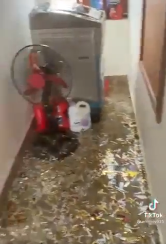 Cách trả thù của nhóm bạn là bắn pháo giấy kim tuyến ngập ngụa trên giường, dưới sàn và cả nhà vệ sinh.