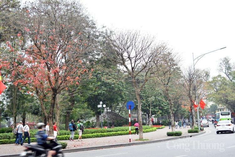 Trên các cung đường, góc phố Hà Nội, cây xanh đua nhau thay áo mới. Sắc xanh, sắc đỏ, sắc vàng trên những cây bàng, lộc vừng, bồ đề, xà cừ, bằng lăng… hòa quyện với nhau tạo nên bức tranh sống động. Người Hà Nội có quyền tự hào, chẳng cần đợi đến mùa thu, ngay xuân này cũng có thể chiêm ngưỡng một mùa lá vàng, đỏ rực khoảng trời.