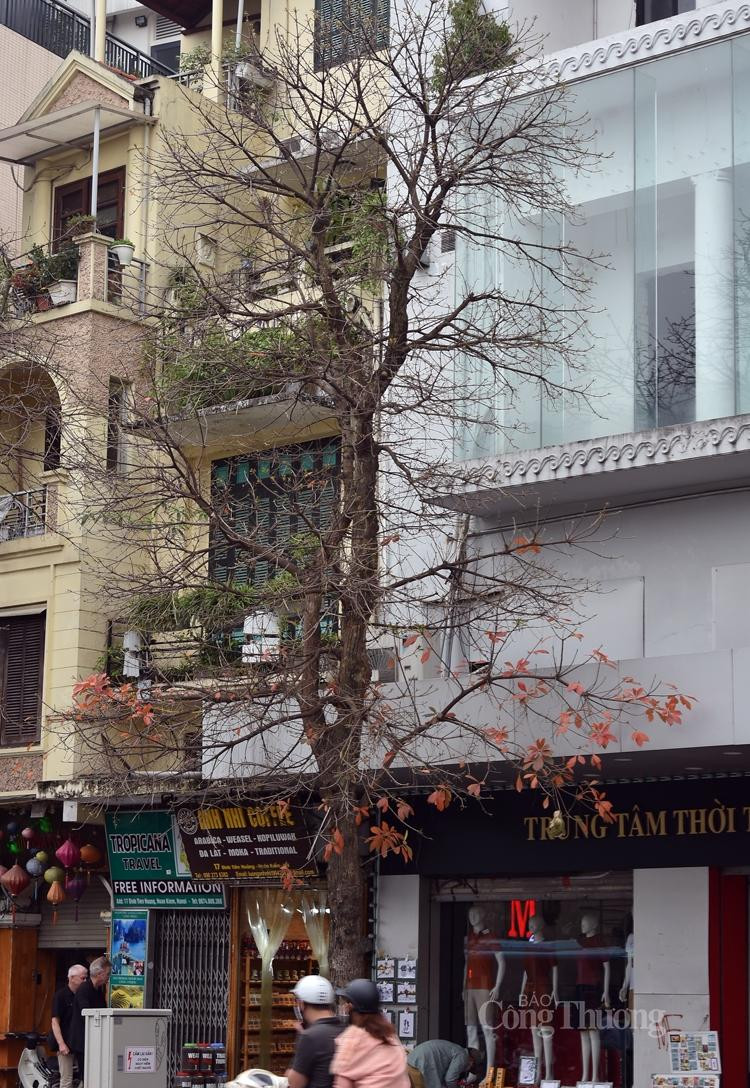 Cứ ngỡ là đông sang...