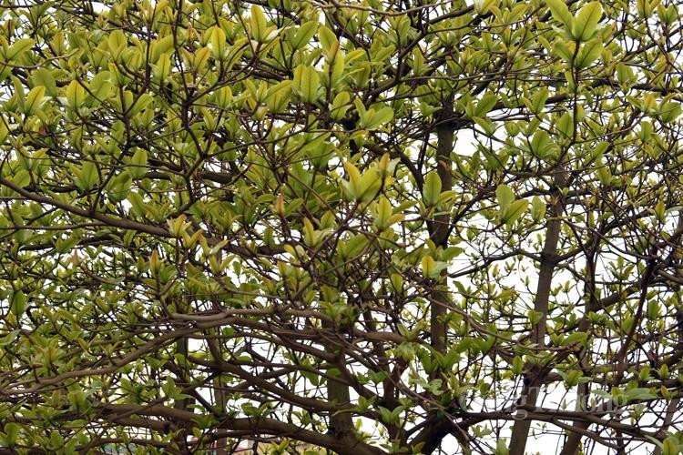 Đánh dấu thời khắc giao mùa của đất trời