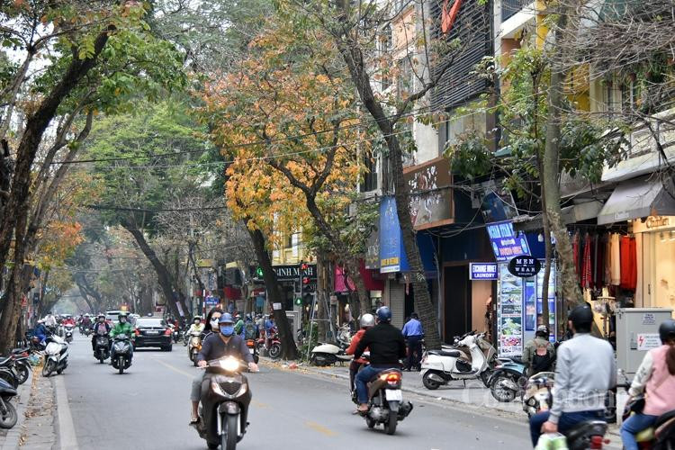 Đúng là chỉ có ở Hà Nội mùa xuân mới đủ chất chứa vào lòng mùa lá đẹp quyến rũ đến vậy. Cơn gió thoảng qua, những chiếc lá vàng, đỏ lãng đãng rơi xuống, thật nhẹ. Hà Nội mùa thay lá biến những con phố trở nên thơ mộng đến lạ lùng.