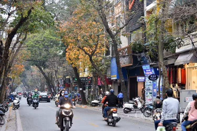 Đúng là chỉ có ở Hà Nội mùa xuân mới đủ chất chứa vào lòng mùa lá đẹp quyến rũ đến vậy. Cơn gió thoảng qua, những chiếc lá vàng, đỏ lãng đãng rơi xuống, thật nhẹ. Hà Nội mùa thay lá biến những con phố trở nên thơ mộng đến lạ lùng.