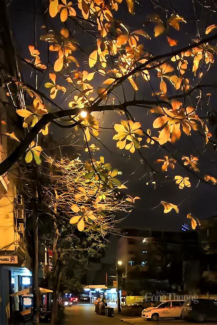 ... Nhưng là xuân sắp qua