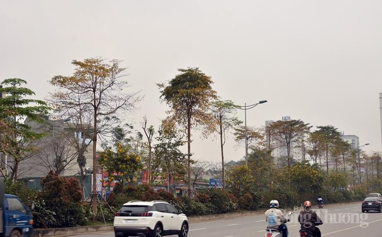 Phố Hàng Bông, đường Võ Chí Công và rất nhiều con phố khác đang khoác lên mình chiếc áo mới