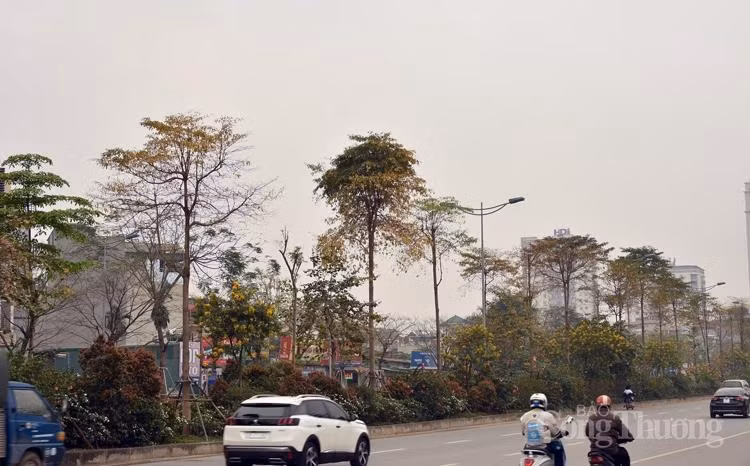 Phố Hàng Bông, đường Võ Chí Công và rất nhiều con phố khác đang khoác lên mình chiếc áo mới