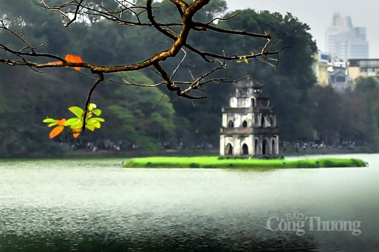 Vài tuần trước, đường phố tràn nhập sắc xanh; nhưng rồi một sớm mai, trong làn sương mờ tỏ, bỗng thấy một Hà Nội mang trên mình tấm áo mới. Giữa những sắc xanh non, những tán bàng, lộc vừng, bằng lăng… đang dần chuyển màu vàng, đỏ - trở thành điểm nhấn thú vị.