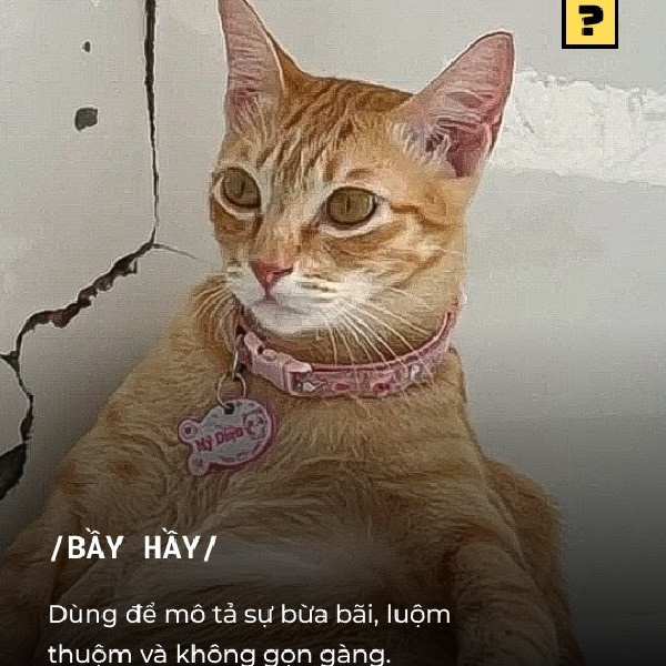 Ban đầu vì điều kiện kinh tế có hạn nên Tường Minh buộc tìm chủ mới cho 3 chú mèo hoang (trong đó có Mỹ Diệu) và chỉ nhận giữ 2 em. Thế nhưng, một thời gian sau, cô gái quyết định giữ lại tất cả số mèo để chăm sóc.