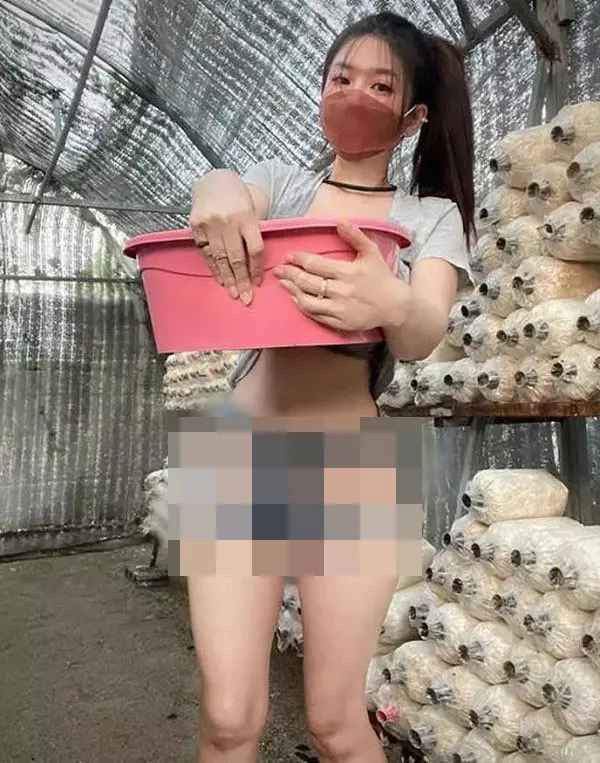 Ngoài ra, cũng có người khuyên cô gái, có muốn chơi trội cần phải có chừng mực, không nên bất chấp, tránh thị phi.