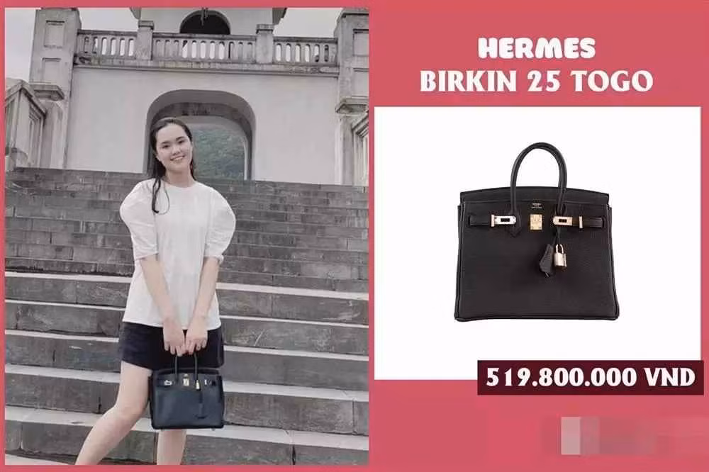 Chiếc túi "hơi mệt" sương sương mà Quỳnh Anh sở hữu có giá lên tới hơn nửa tỷ đồng.