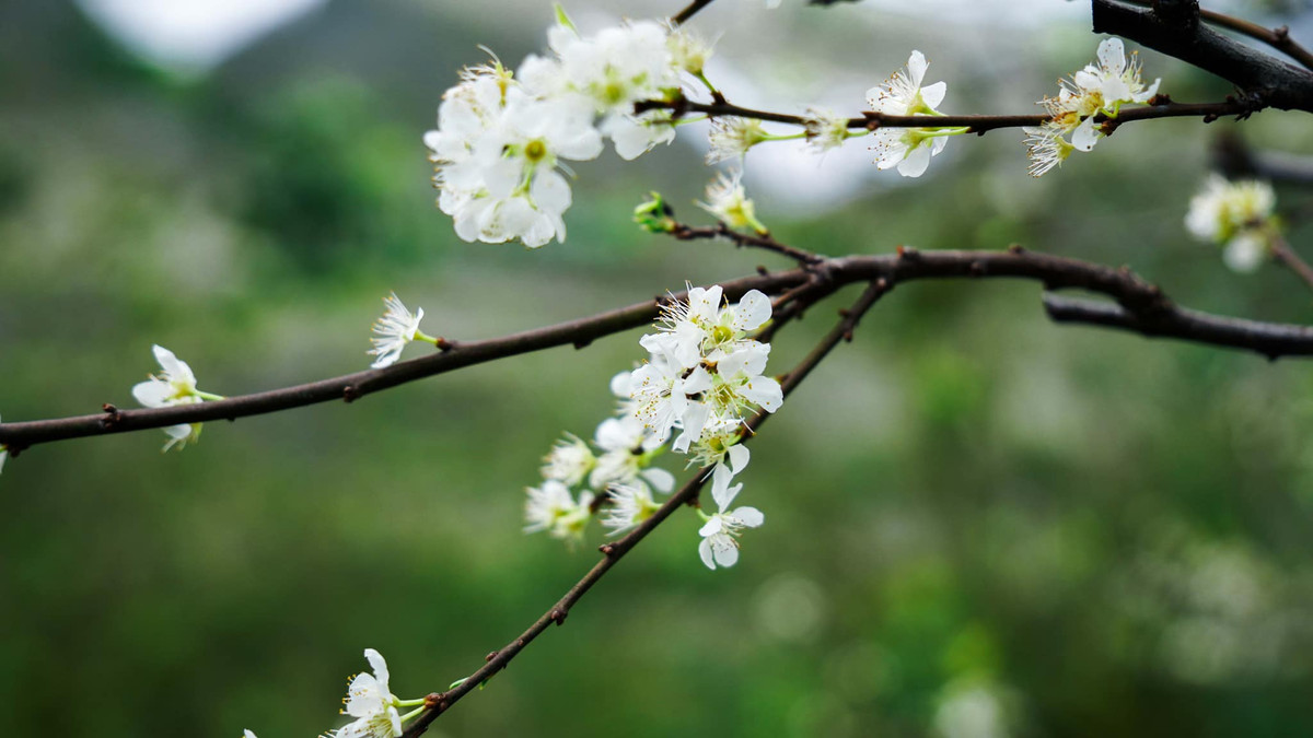 Cư dân mạng tỏ ra bức xúc trước sự vô ý thức của nhóm cô gái này. Nhiều người bày tỏ sự thất vọng với nhóm người chỉ coi việc "sống ảo" là mục tiêu chính. Trước đây, nhiều hành động tương tự bị lên án.