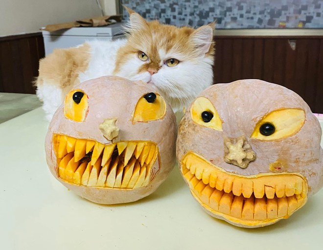 Chưa rõ quả bí ngô trên giống loài vật gì nhưng đảm bảo khi nhìn chắc hẳn các cháu sẽ rất sợ.