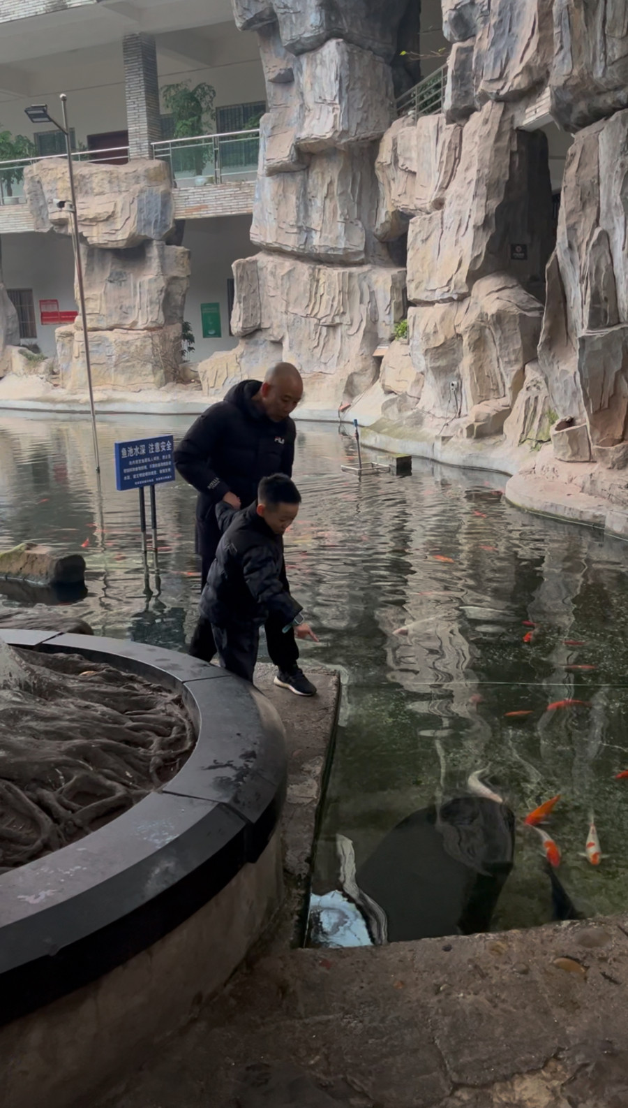 Dự án của Lý tương tự như hồ cá Koi, nhưng việc kinh doanh của hai bên lại khác nhau một trời một vực. Vì ghen ăn tức ở, nhất thời đố kỵ, Lý đã trút giận lên hồ cá Koi.