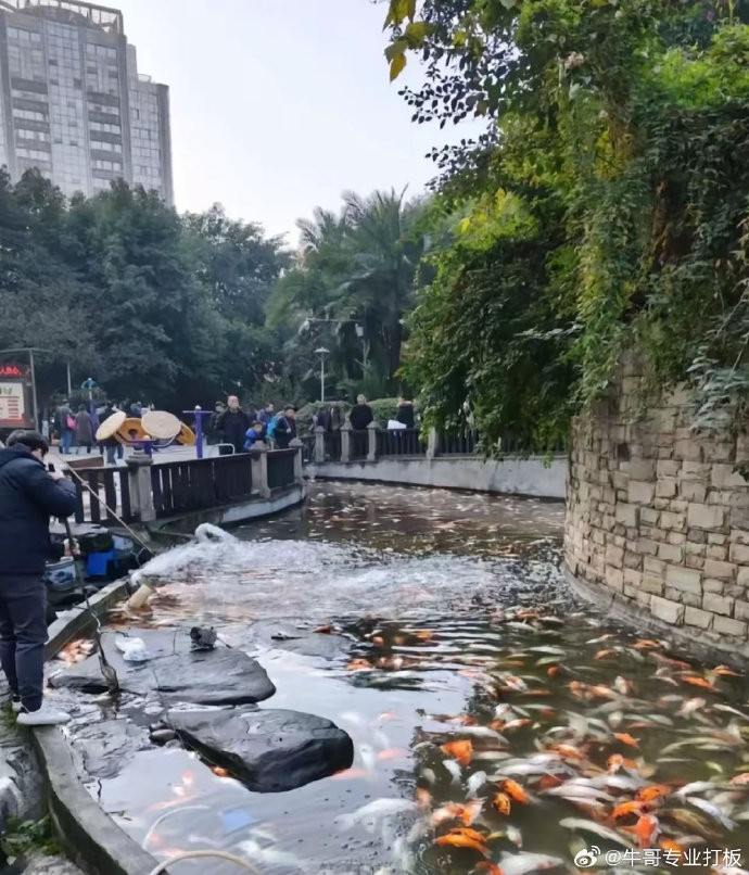 Nơi đây nuôi rất nhiều cá Koi với không gian yên tĩnh, là góc nhỏ yên bình, đem lại niềm vui cho người dân và du khách trong nhiều năm qua. Vào mỗi dịp cuối tuần hay lễ tết, nhiều bậc phụ huynh thường dẫn con đến đây ngắm cá thư giãn.