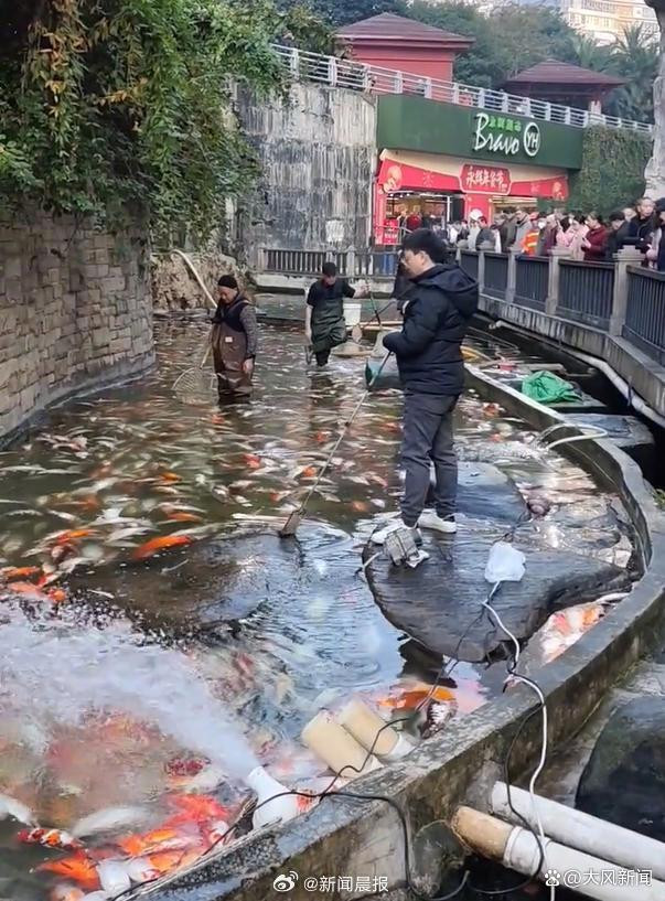 Sau khi cảnh sát vào cuộc điều tra đã nhanh chóng bắt được nghi phạm là người đàn ông họ Lý (43 tuổi).