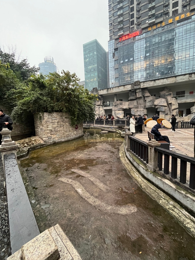 Sau khi bị bắt, Lý thừa nhận vào đêm ngày 11/1/2025 đã lén đổ thuốc trừ sâu xuống hồ cá Koi của đối thủ, khiến một lượng lớn cá Koi chết hàng loạt, gây thiệt hại kinh tế nặng nề cho chủ hồ.