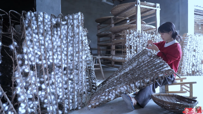 Trước đó, Lý Tử Thất vì quá tập trung vào công việc mà để bà ngoại già yếu phải chăm sóc mình, có khi bà phải mang đồ ăn cho cô lúc nửa đêm. Vì vậy trong 3 năm qua, cô đã luôn ở cạnh, cùng ăn cơm và đi dạo với bà ngoại.