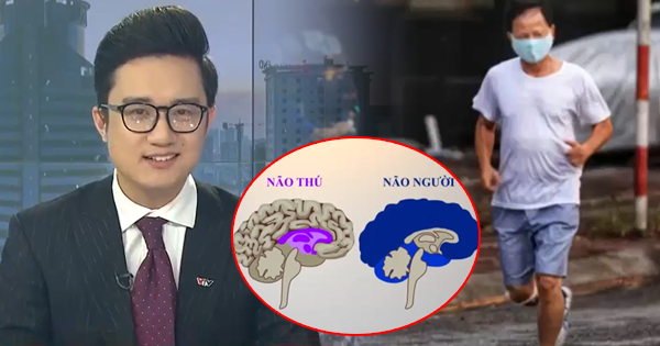 Sau khi chuyên mục Điểm tuần của VTV24 lên sóng, cư dân mạng người khen MC VTV thẳng thắn và thâm thúy nhưng người lại nổi giận vì cho rằng nhà đài đang xúc phạm người lớn tuổi, cách "cà khịa" không phù hợp trong thời điểm cả nước cần đồng lòng với công tác chống dịch.