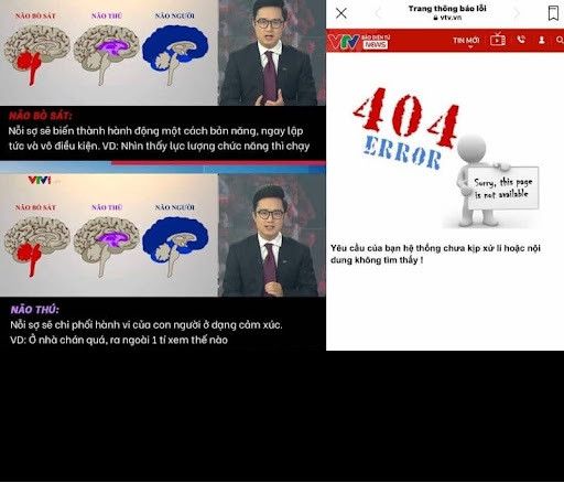 Giữa lùm xùm tranh luận đến từ phía không gian mạng, VTV đã gỡ bỏ bản tin này trên kênh Youtue và báo điện tử.