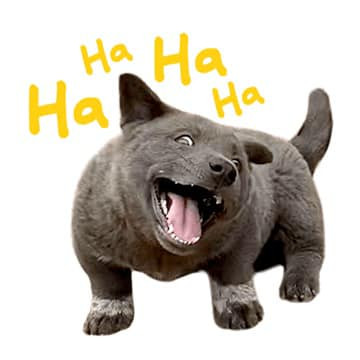 Bên dưới, cư dân mạng cũng đã nhanh chóng bày tỏ sự thích thú của mình, đồng thời hào hứng tự hỏi "Không biết bao giờ Facebook mới cho Dúi nhà ta lên sóng nhỉ".