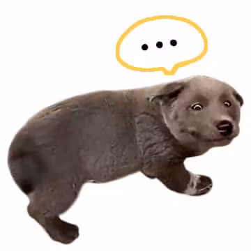 Tuy nhiên, chủ nhân của Dúi là anh Hải Anh cho biết: "Mình mua Dúi ở một tỉnh miền núi. Nó được lai giữa giống chó chân ngắn Dingo và giống chó bản địa H'Mông. Nhưng cũng có thể, Dúi còn đột biến gen nữa".