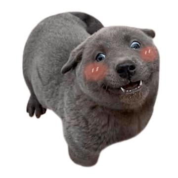 Cụ thể, mới đây trên MXH Zalo bộ sticker mang tên "Bé Dúi" khiến cho tất cả ngỡ ngàng với các biểu cảm của chú chó Nguyễn Văn Dúi. Nó đã tạo ra tiếng cười phấn khích cho người dùng.