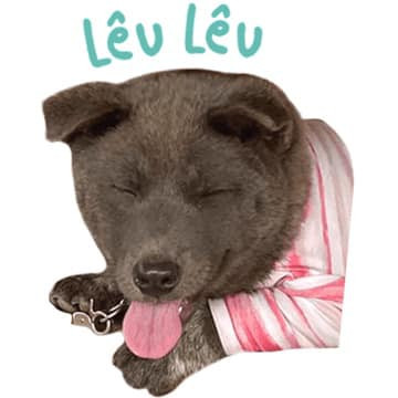 Không chỉ sở hữu lượng người hâm mộ đông đảo tại Việt Nam, Dúi còn được diễn đàn nổi tiếng chế ảnh trên thế giới là 9GAG đăng ảnh.