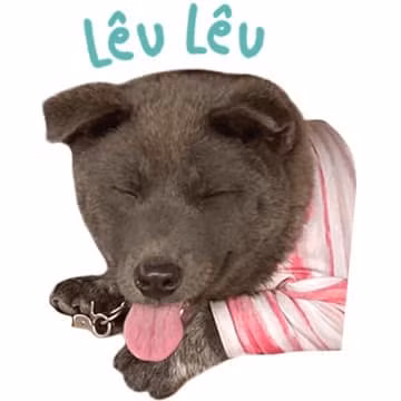 Không chỉ sở hữu lượng người hâm mộ đông đảo tại Việt Nam, Dúi còn được diễn đàn nổi tiếng chế ảnh trên thế giới là 9GAG đăng ảnh.