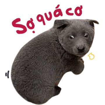 Với biểu cảm "vênh váo" cực kỳ đáng yêu của mình, Nguyễn Văn Dúi đang sở hữu một lượng fan vô cùng hùng hậu trên mạng xã hội.