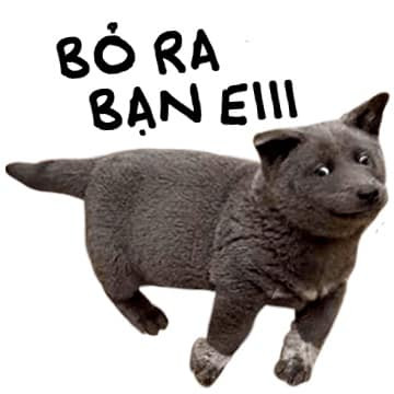 Với ngoại hình vô cùng kỳ lạ cùng màu lông xám, nhiều người còn cho rằng rất có thể, thú cưng Nguyễn Văn Dúi là kết quả lai giữa chó và mèo.