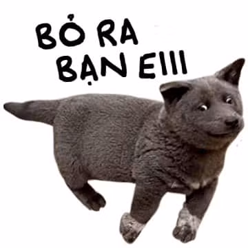 Với ngoại hình vô cùng kỳ lạ cùng màu lông xám, nhiều người còn cho rằng rất có thể, thú cưng Nguyễn Văn Dúi là kết quả lai giữa chó và mèo.