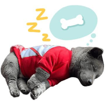 Cùng ngắm nhìn những biểu cảm cực chất của Nguyễn Văn Dúi khiến dân tình bị đốn tim ầm ầm.