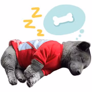 Cùng ngắm nhìn những biểu cảm cực chất của Nguyễn Văn Dúi khiến dân tình bị đốn tim ầm ầm.