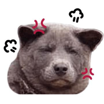 Với biểu cảm khuôn mặt cực ngầu, khoảnh khắc nào của Dúi cũng vô cùng đáng yêu, đốn tim dân mạng.