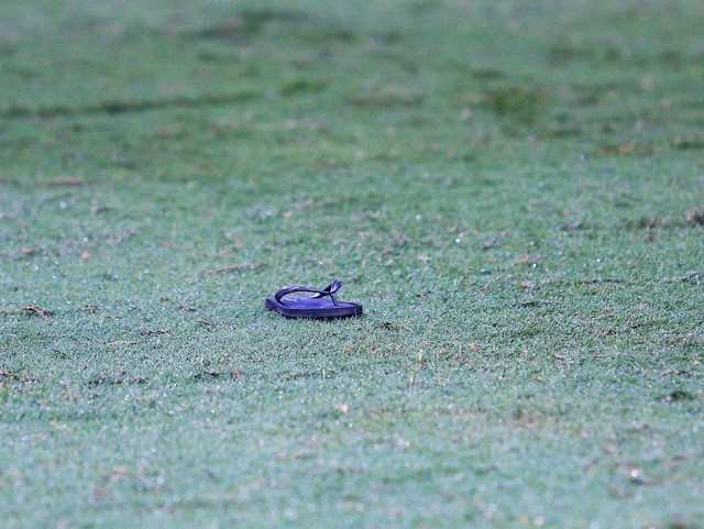 Một chiếc dép được CĐV Nam Định ném xuống sân Hàng Đẫy để phản đối quyết định của trọng tài điều khiển trận đấu.