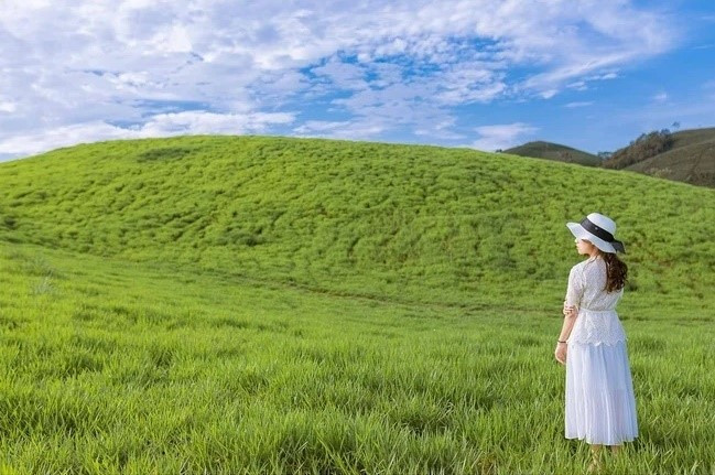 Song một trong những đồng cỏ ấn tượng nhất mà du khách sẽ rất tiếc nếu bỏ qua khi đến du lịch Mộc Châu đó chính là đồng cỏ 68. Địa điểm này cách trung tâm thị trấn khoảng 10km theo hướng quốc lộ 43.