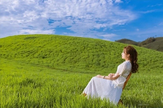 Nhắc đến Mộc Châu là nhắc đến những đồi chè, thảo nguyên xanh ngút ngàn cực kì hút mắt và cả những đồng cỏ trải khắp vùng núi.