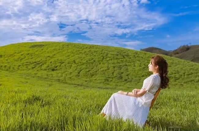 Nhắc đến Mộc Châu là nhắc đến những đồi chè, thảo nguyên xanh ngút ngàn cực kì hút mắt và cả những đồng cỏ trải khắp vùng núi.