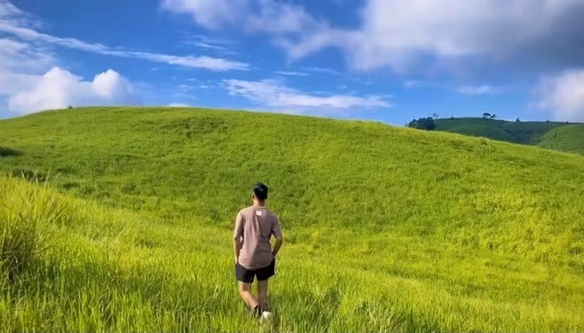 Thời điểm lý tưởng nhất để có được các tấm hình đẹp là vào khoảng 8-10h sáng. Lúc này nắng chưa quá gắt nhưng vẫn đủ sáng để tạo nên khung cảnh lung linh như phim.