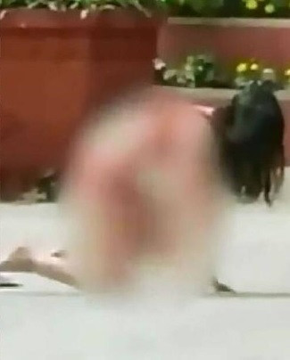 Sau khi thực hiện xong hành động phản cảm trước cổng chùa của mình cô gái thản nhiên mặc lại chiếc váy của mình rồi dời đi.