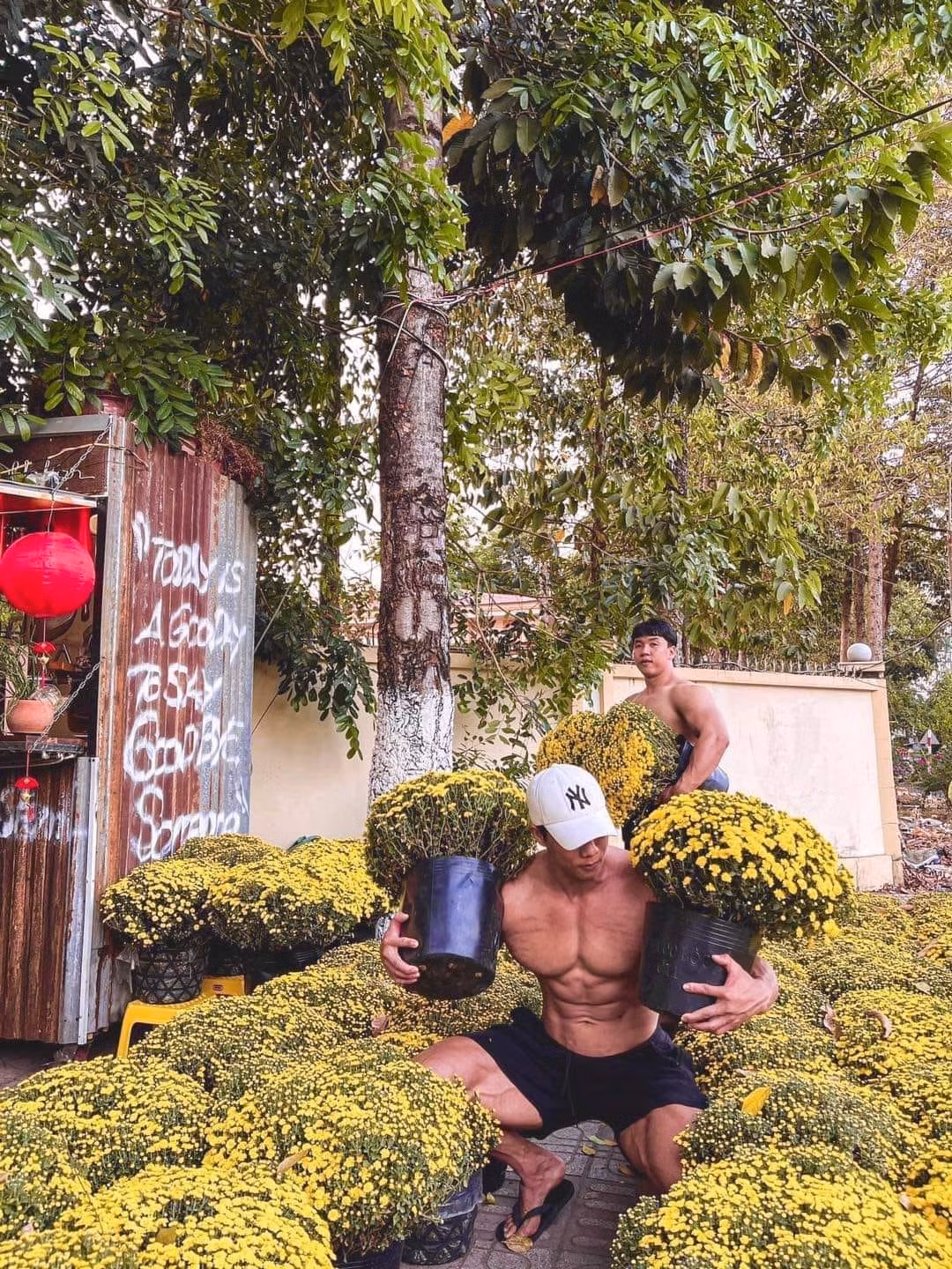 Nhìn những hình ảnh này, không ít chị em dò hỏi cho bằng được nam thanh niên bán quất chỗ nào để còn ra đặt hàng.